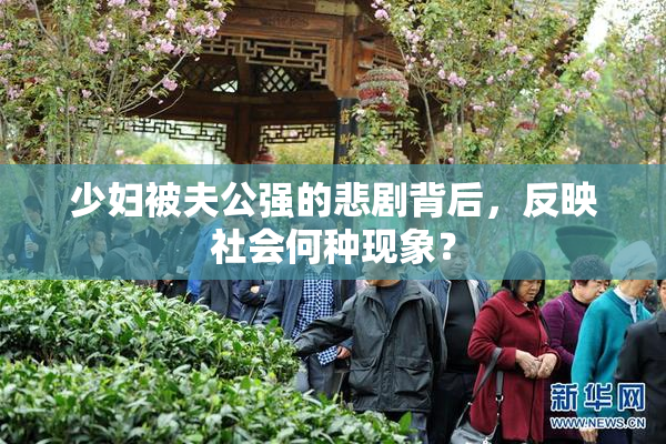 少妇被夫公强的悲剧背后，反映社会何种现象？