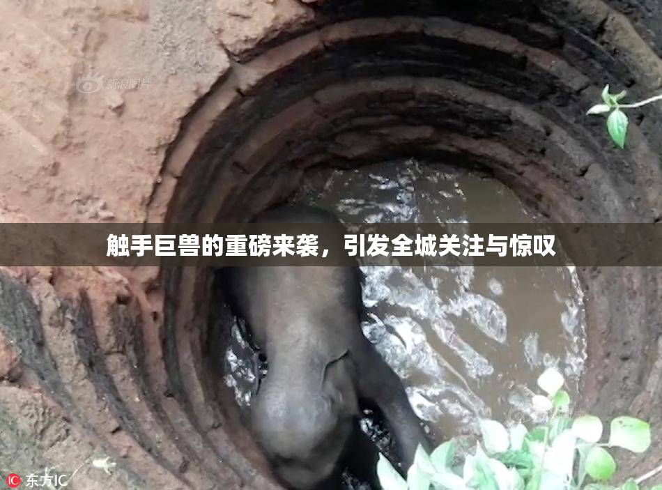 触手巨兽的重磅来袭，引发全城关注与惊叹
