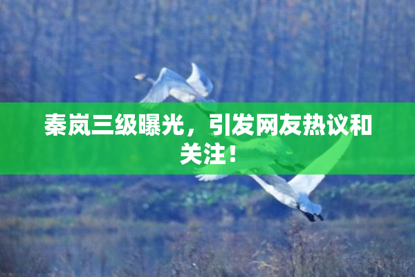 秦岚三级曝光，引发网友热议和关注！