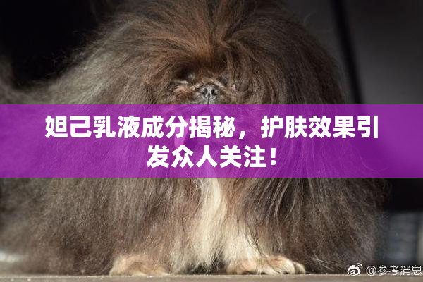 妲己乳液成分揭秘，护肤效果引发众人关注！