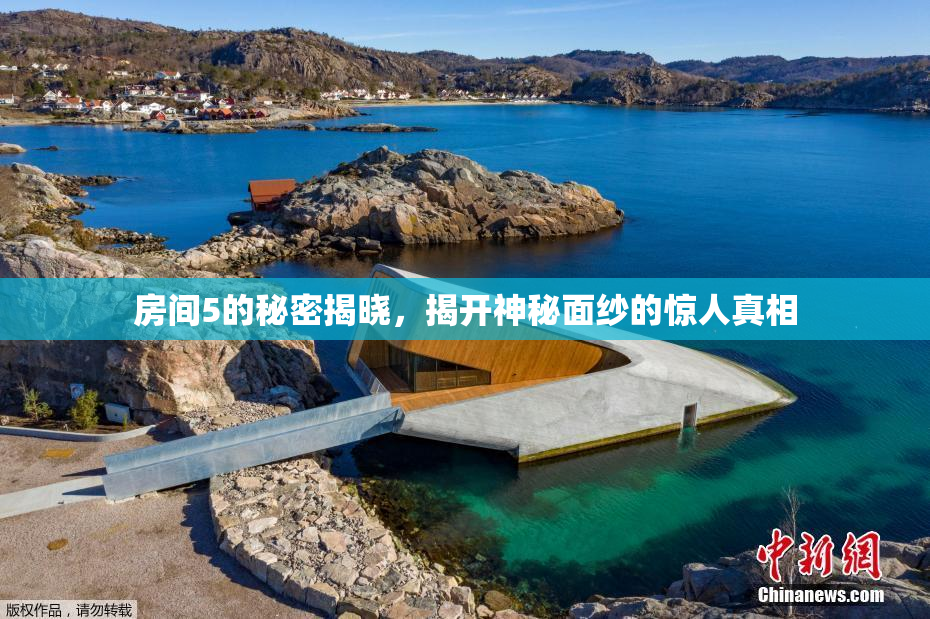 房间5的秘密揭晓，揭开神秘面纱的惊人真相