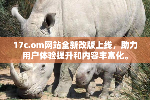 17c.om网站全新改版上线，助力用户体验提升和内容丰富化。