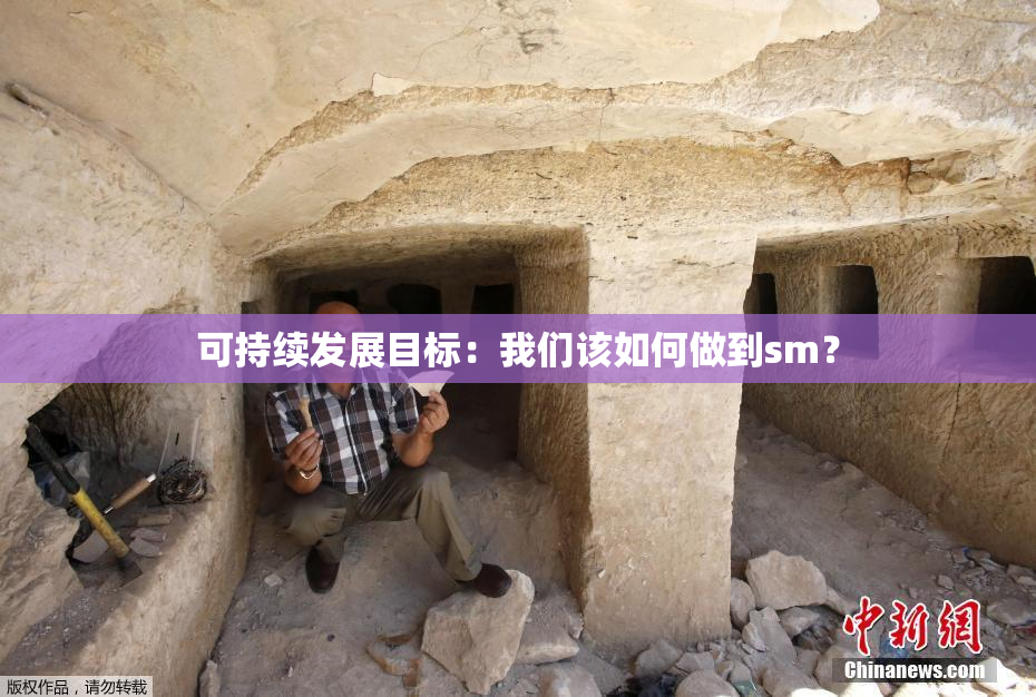 可持续发展目标：我们该如何做到sm？