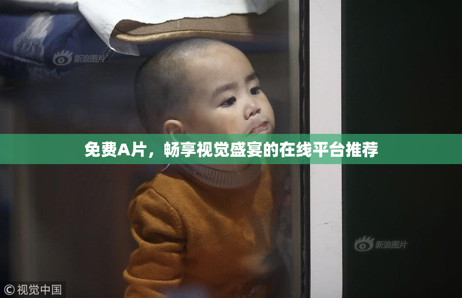 免费A片，畅享视觉盛宴的在线平台推荐