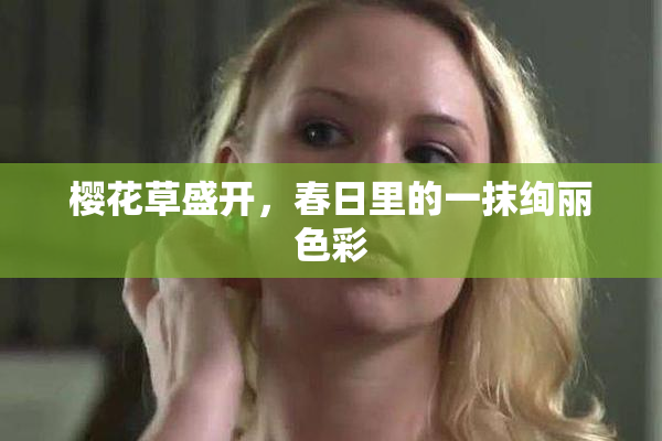 樱花草盛开，春日里的一抹绚丽色彩