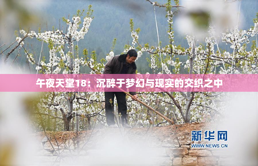 午夜天堂18：沉醉于梦幻与现实的交织之中