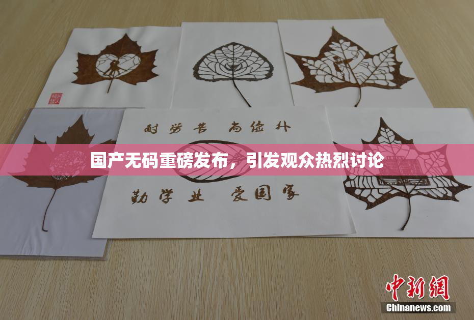 国产无码重磅发布，引发观众热烈讨论