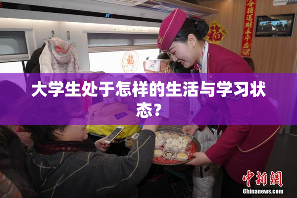 大学生处于怎样的生活与学习状态？