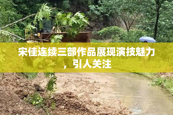 宋佳连续三部作品展现演技魅力，引人关注