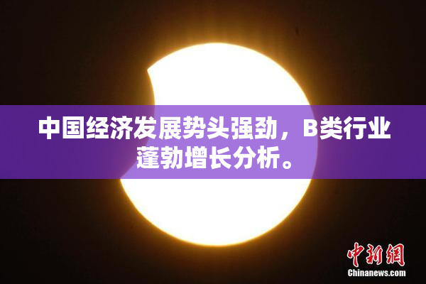 中国经济发展势头强劲，B类行业蓬勃增长分析。