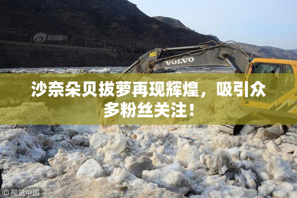 沙奈朵贝拔萝再现辉煌，吸引众多粉丝关注！