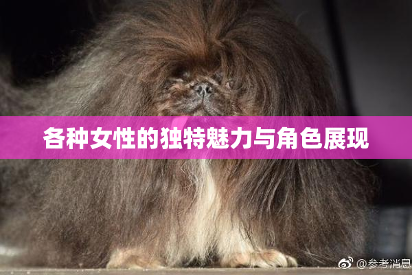 各种女性的独特魅力与角色展现