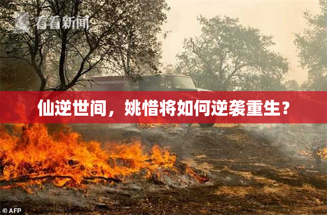 仙逆世间，姚惜将如何逆袭重生？