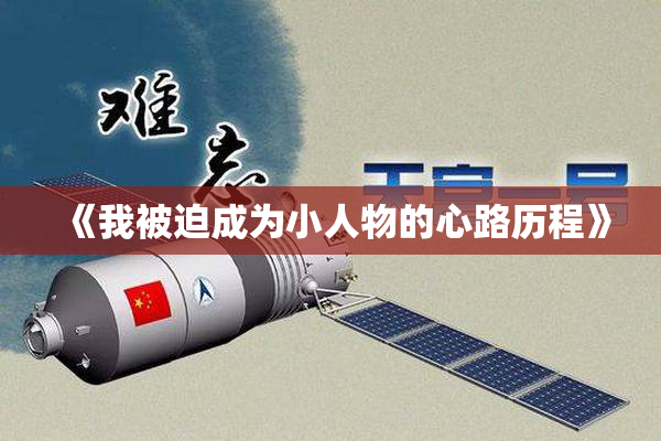 《我被迫成为小人物的心路历程》