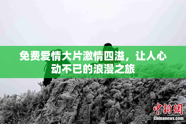 免费爱情大片激情四溢，让人心动不已的浪漫之旅