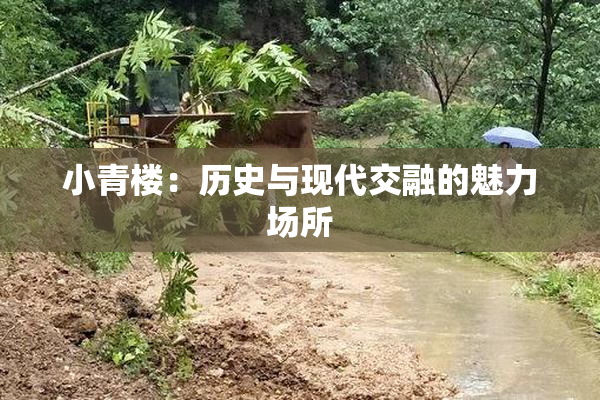 小青楼：历史与现代交融的魅力场所