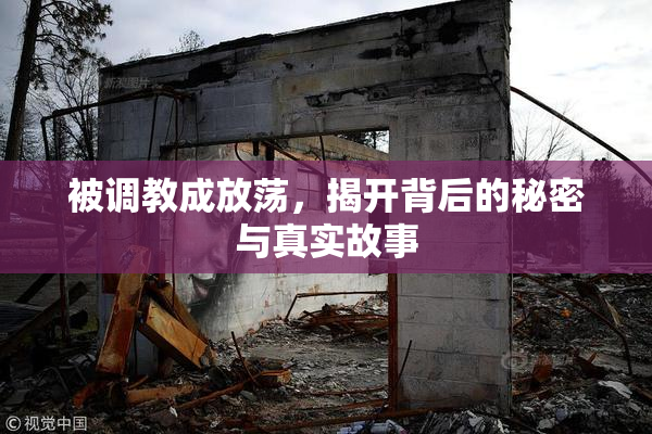 被调教成放荡，揭开背后的秘密与真实故事