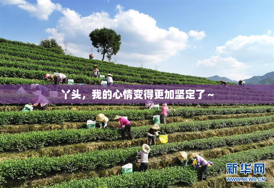 丫头，我的心情变得更加坚定了～