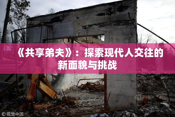 《共享弟夫》：探索现代人交往的新面貌与挑战