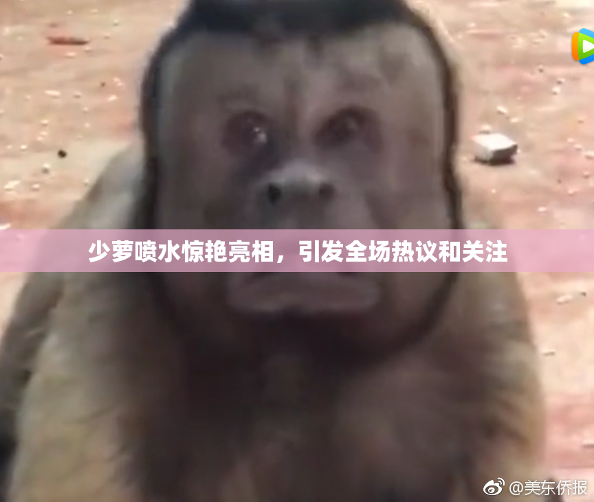 少萝喷水惊艳亮相，引发全场热议和关注