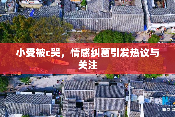 小受被c哭，情感纠葛引发热议与关注