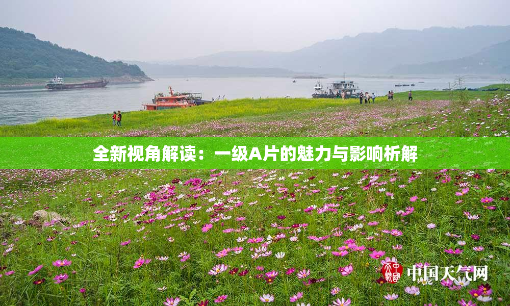 全新视角解读：一级A片的魅力与影响析解