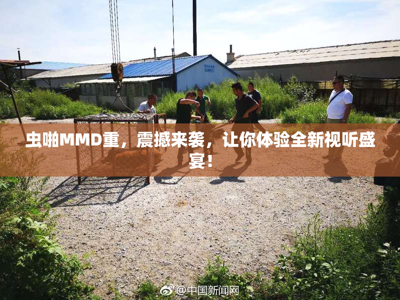 虫啪MMD重，震撼来袭，让你体验全新视听盛宴！