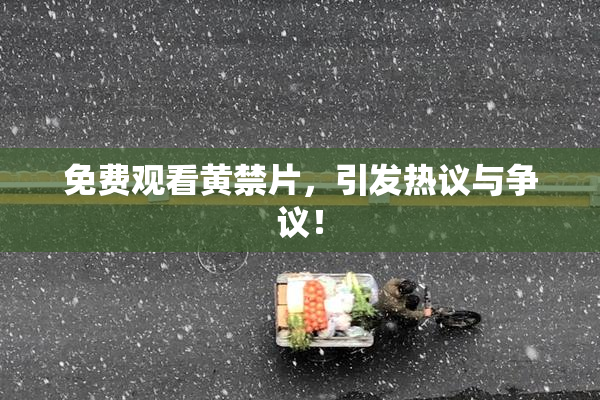 免费观看黄禁片，引发热议与争议！