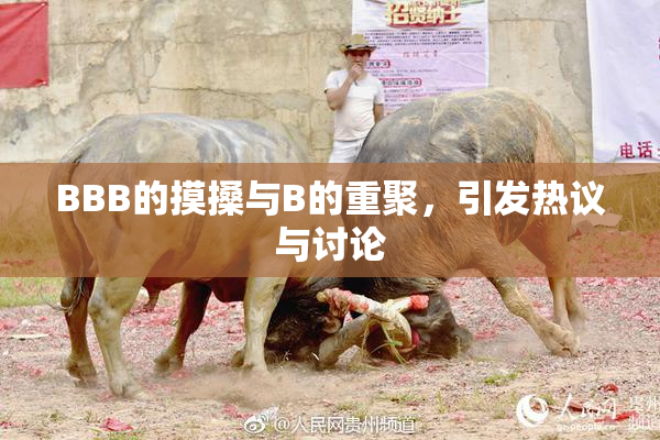 BBB的摸搡与B的重聚，引发热议与讨论