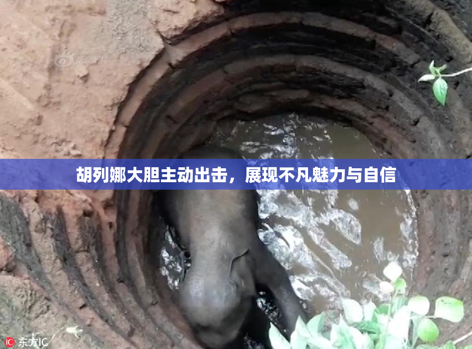 胡列娜大胆主动出击，展现不凡魅力与自信