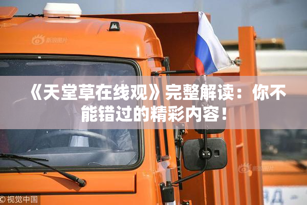 《天堂草在线观》完整解读：你不能错过的精彩内容！