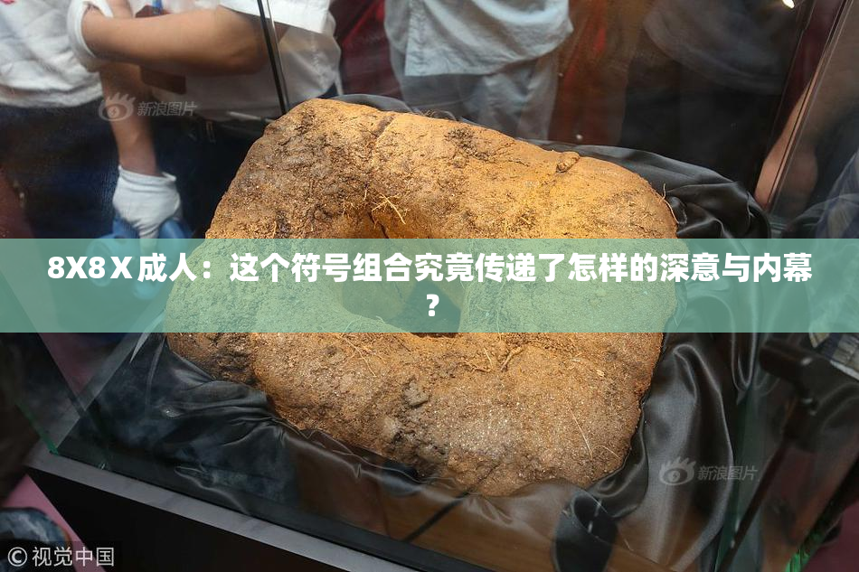 8X8Ⅹ成人：这个符号组合究竟传递了怎样的深意与内幕？