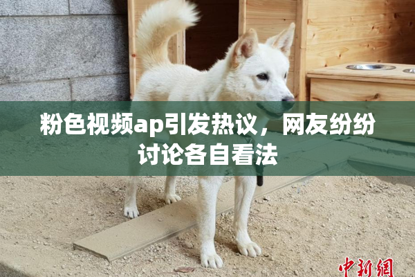 粉色视频ap引发热议，网友纷纷讨论各自看法
