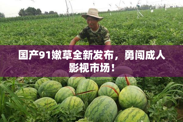 国产91嫩草全新发布，勇闯成人影视市场！