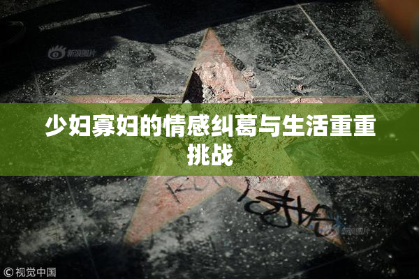 少妇寡妇的情感纠葛与生活重重挑战