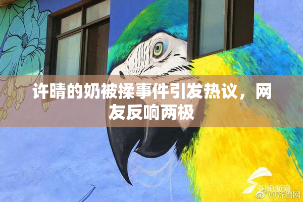 许晴的奶被揉事件引发热议，网友反响两极
