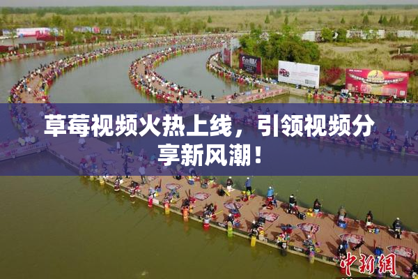 草莓视频火热上线，引领视频分享新风潮！