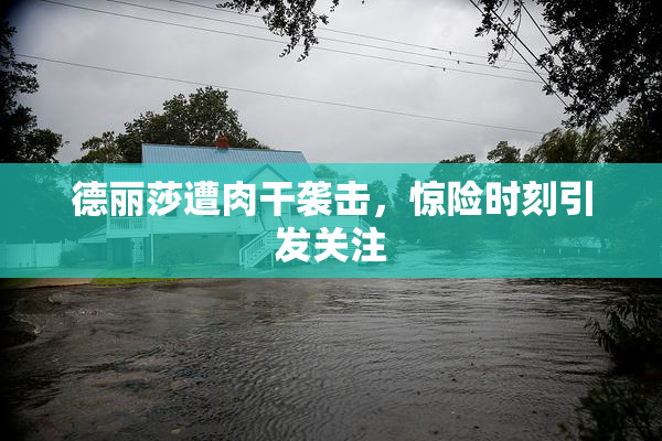 德丽莎遭肉干袭击，惊险时刻引发关注