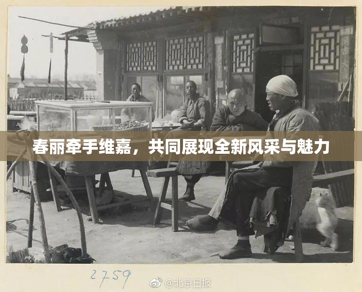 春丽牵手维嘉，共同展现全新风采与魅力
