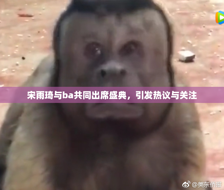 宋雨琦与ba共同出席盛典，引发热议与关注