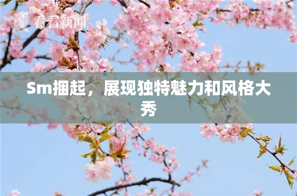 Sm捆起，展现独特魅力和风格大秀