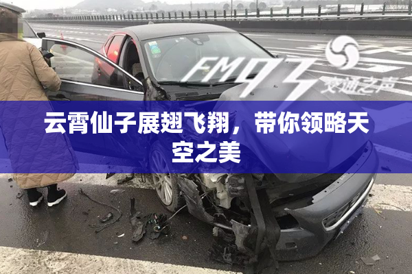 云霄仙子展翅飞翔，带你领略天空之美