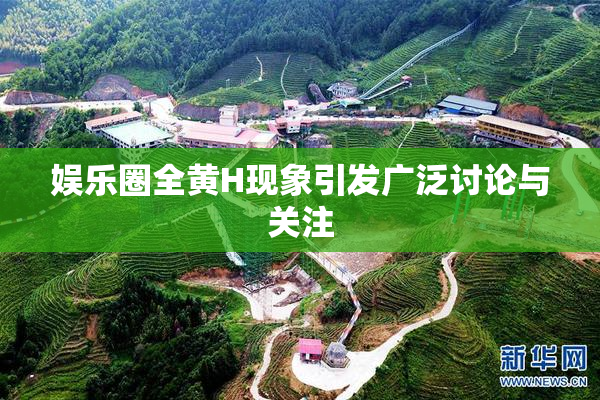 娱乐圈全黄H现象引发广泛讨论与关注