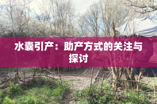 水囊引产：助产方式的关注与探讨