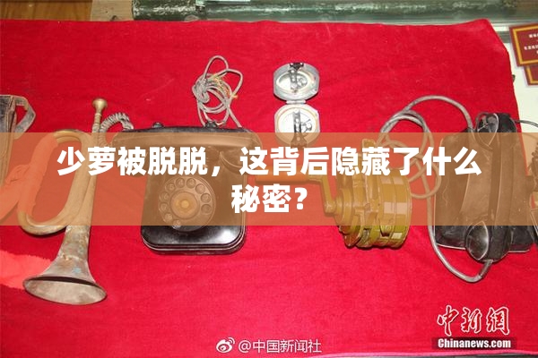 少萝被脱脱，这背后隐藏了什么秘密？