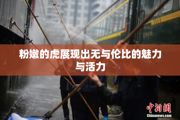 粉嫩的虎展现出无与伦比的魅力与活力