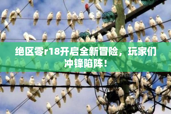绝区零r18开启全新冒险，玩家们冲锋陷阵！