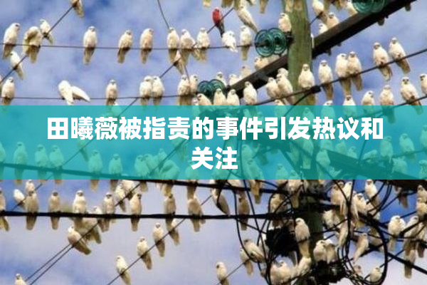 田曦薇被指责的事件引发热议和关注