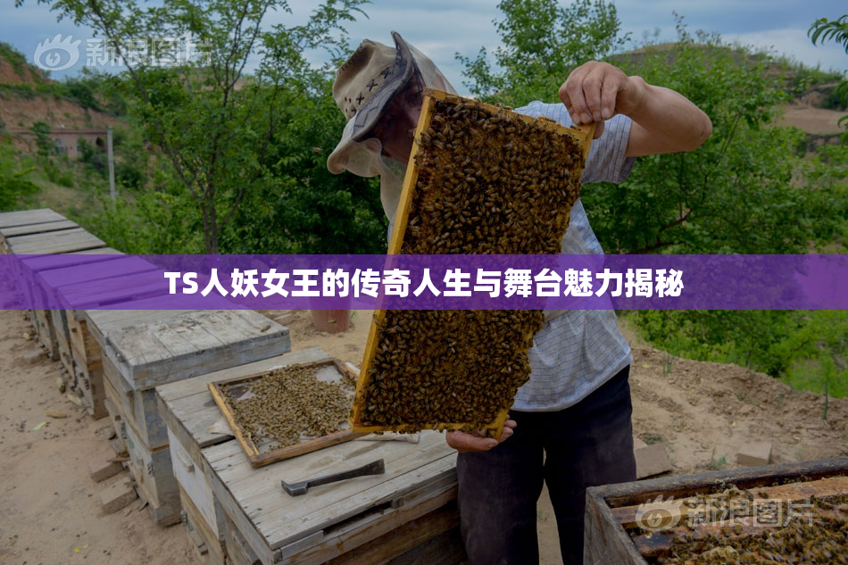 TS人妖女王的传奇人生与舞台魅力揭秘