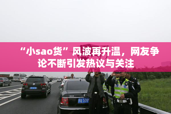 “小sao货”风波再升温，网友争论不断引发热议与关注